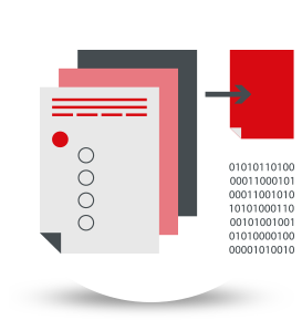 Website Data Migration